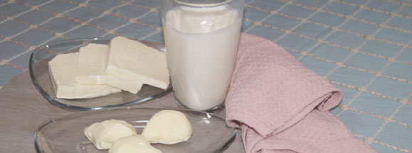 Productos lácteos y Proteína de la leche